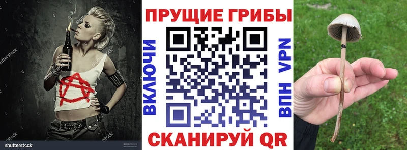 Псилоцибиновые грибы прущие грибы  где купить   Карталы 